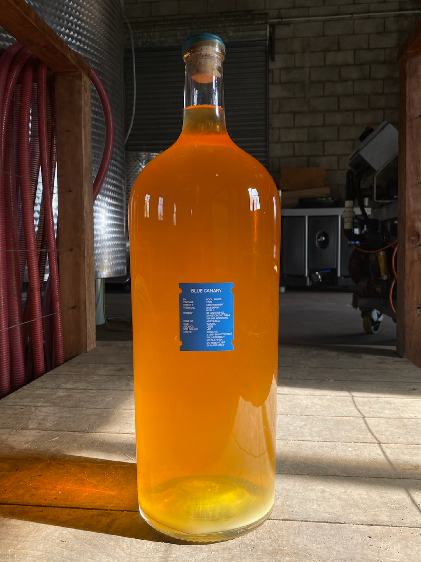 2023 BLUE CANARY - BALTHAZAR 12L